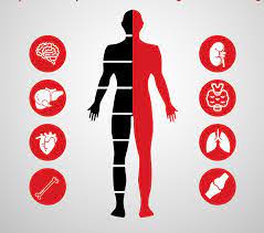 MediHub-Full Body Check Up