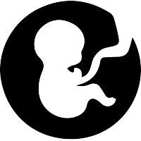 Obstetrics Gynaecology