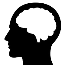 Developmental-Behavioral Pediatrics